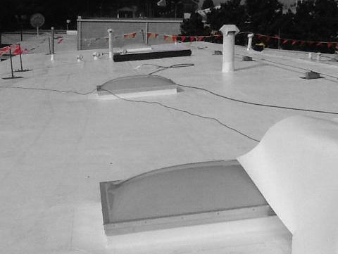 Sustainable-Solutions-skylights-bw