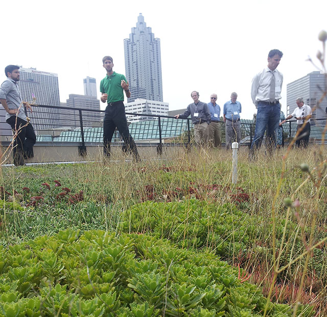 sustainable solutions-green roofs