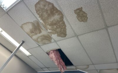 Signs that a Georgia Flat Roof is near Failure