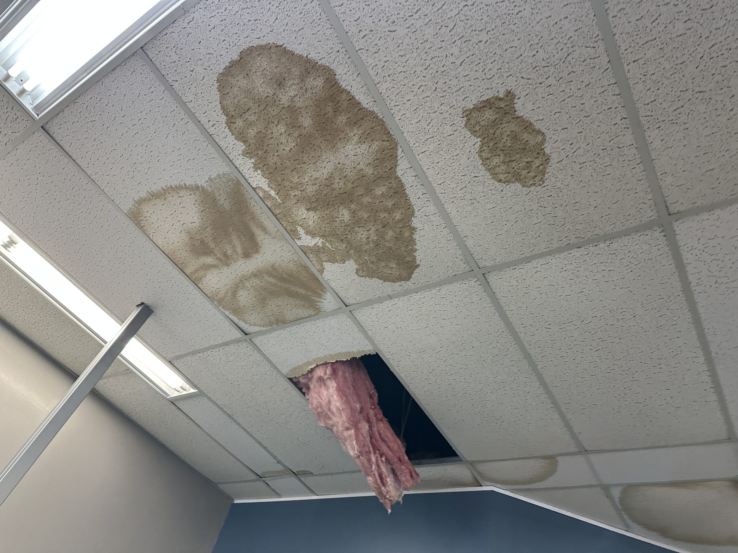 ceiling